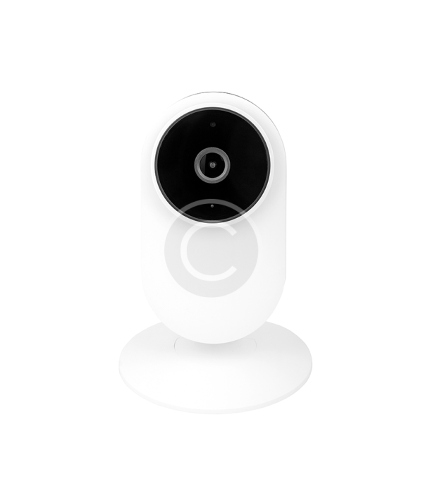 Security Wireless IP Camera with Tilt